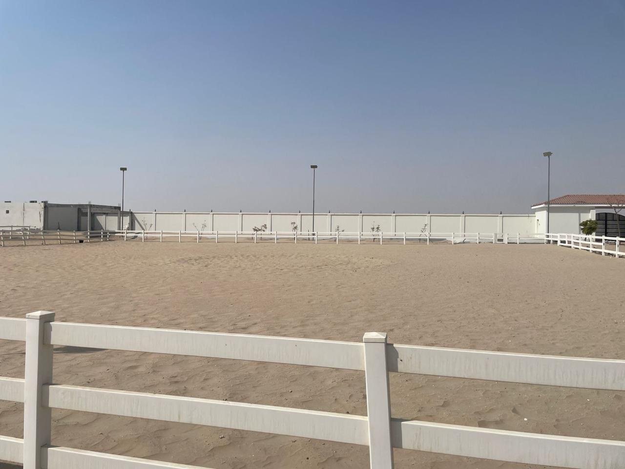 Long line of white fencing dividing sand paddocks on the estate.